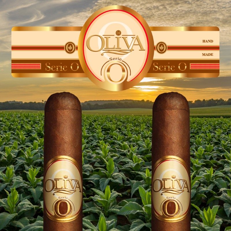 Oliva Serie O Cigars